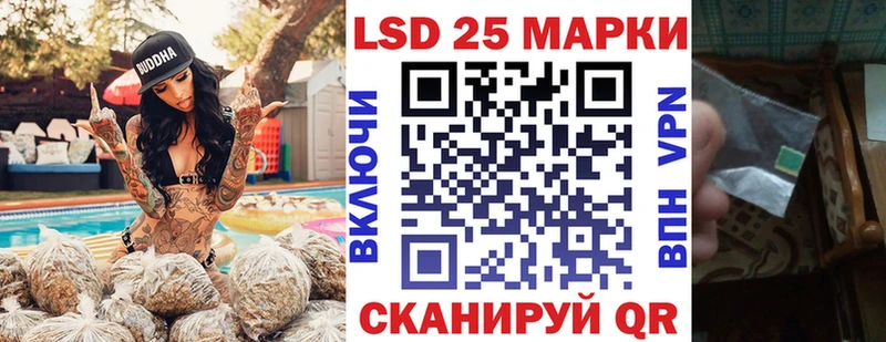 где можно купить наркотик  Вичуга  Марки 25I-NBOMe 1500мкг 