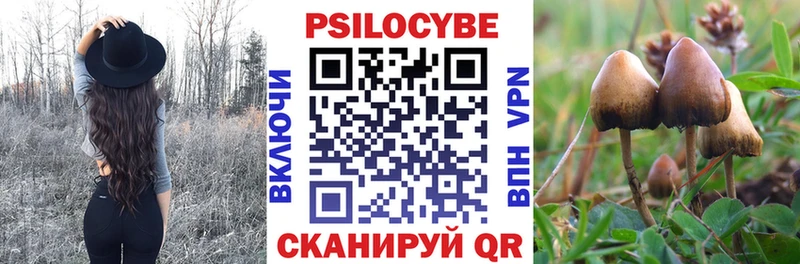 купить наркоту  Вичуга  Псилоцибиновые грибы MAGIC MUSHROOMS 