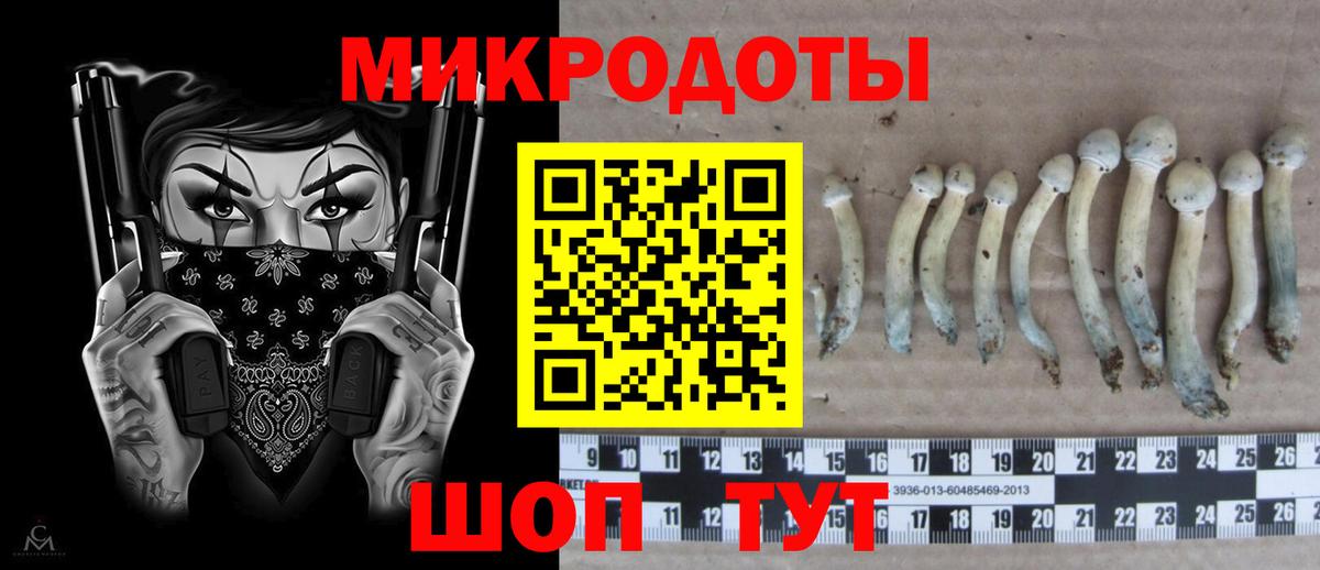 Галлюциногенные грибы мицелий Вичуга